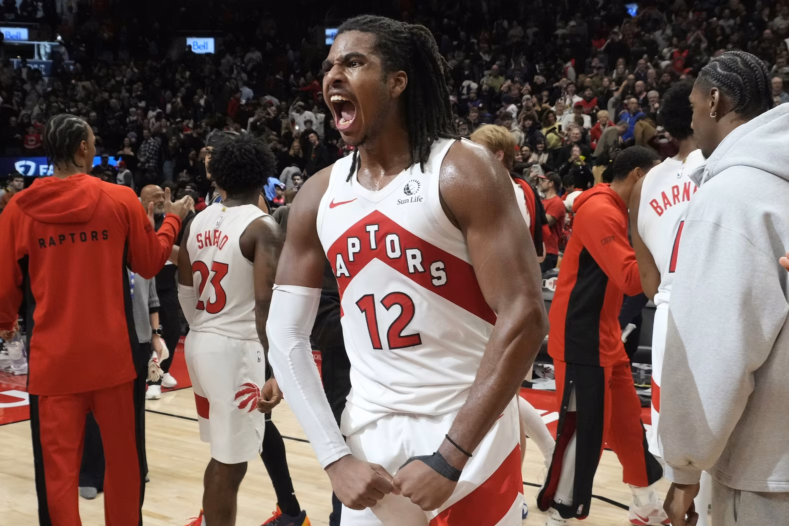 Les Raptors