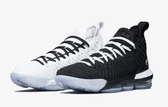 Nike : une LeBron 16 “Equality” prévue pour le Martin Luther King Day