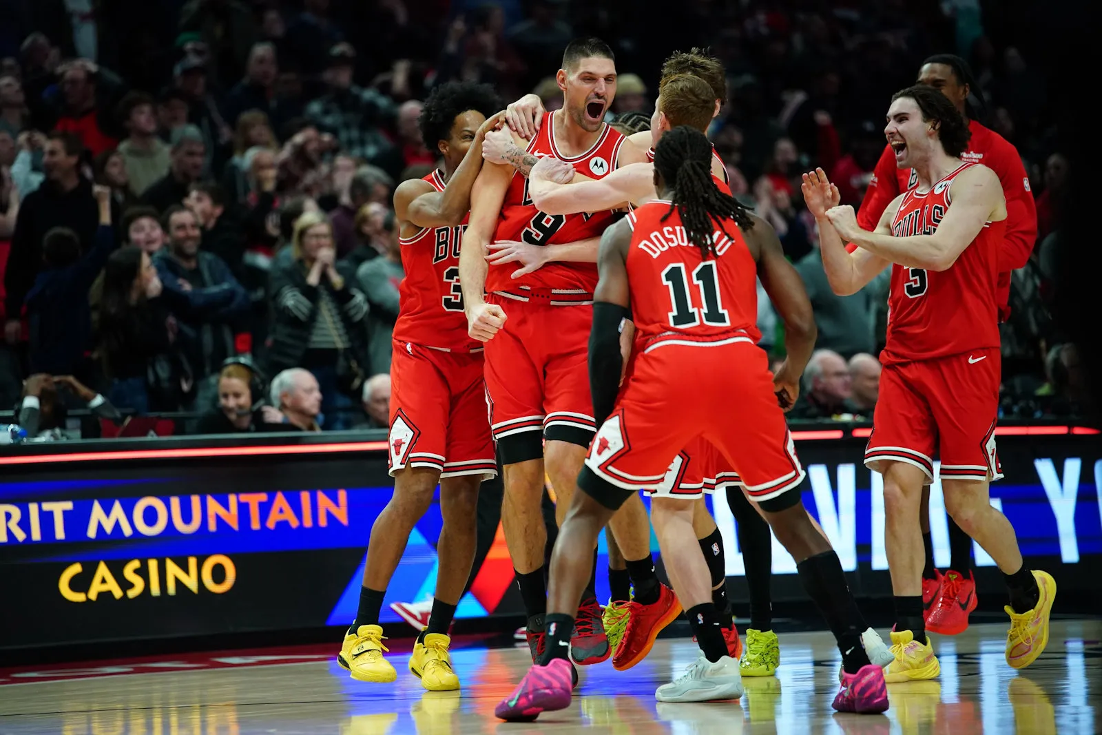 vucevic bulls