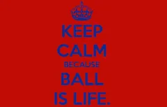 La rencontre avec le “Ball Is Life”…