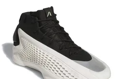 La A.E. 1 « Stormtrooper » débarque en France