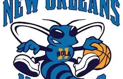 Les Hornets vont changer de nom