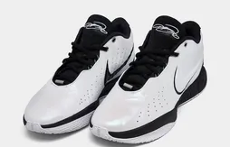 La LeBron 21 sort de sa coquille
