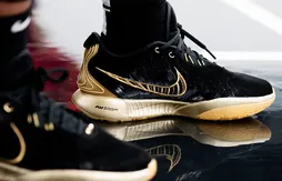 Une LeBron 21 pour A’Ja Wilson