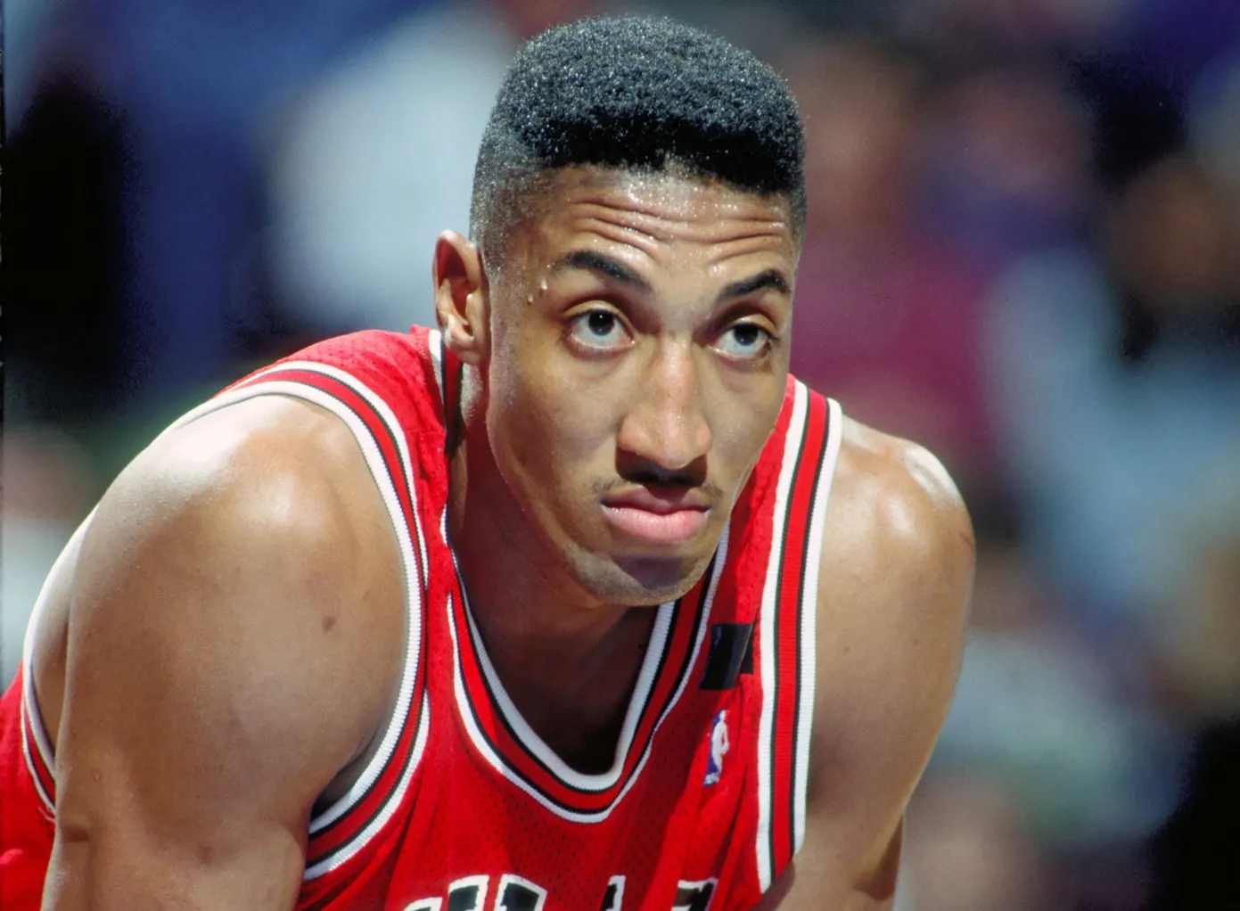 scottie pippen