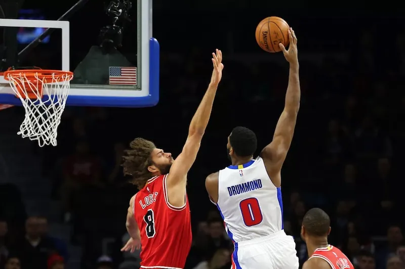 drummond-bulls
