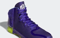 Bientôt le retour de la D Rose 4 ?