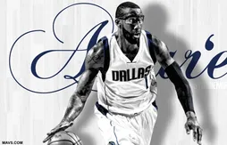 Amar’e Stoudemire : “J’ai une opportunité formidable de pouvoir jouer le titre”