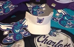Le retour des Charlotte Hornets, une aubaine économique