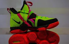 Nike : la LeBron 14 se met au catch !