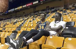 NCAA : quand Mamadou N’Diaye (2m29) défie Tacko Fall (2m29)