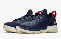 Nike : la LeBron 14 low USA arrive