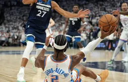 Un fan des Wolves aurait pu tout changer sur la dernière possession