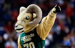 March Madness : Colorado State, Temple et Murray State déçus de ne pas avoir été invités