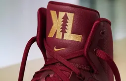 Nike : une Hyperdunk 2016 spéciale pour les Finals de Kevin Love