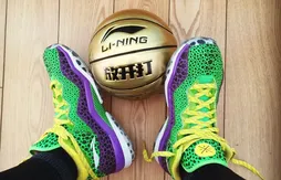 All Star Game : les chaussures de Dwyane Wade vont piquer les yeux…