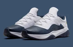 Une Air Jordan 11 aux couleurs de Michigan