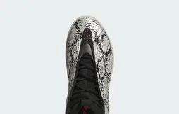 La Harden Vol.10 retrouve sa peau de serpent
