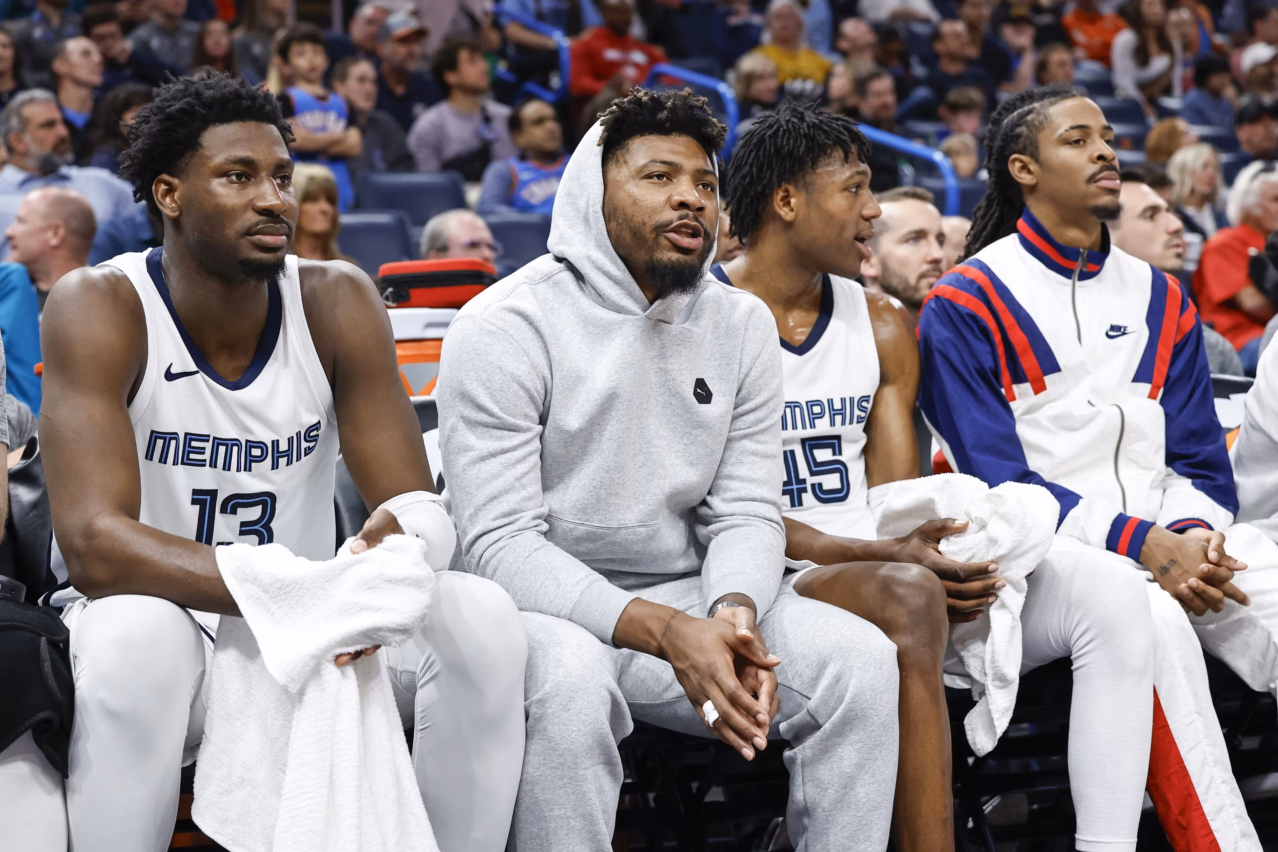 grizzlies