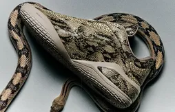 La SHAI 001 « Slither » poursuit sa mue
