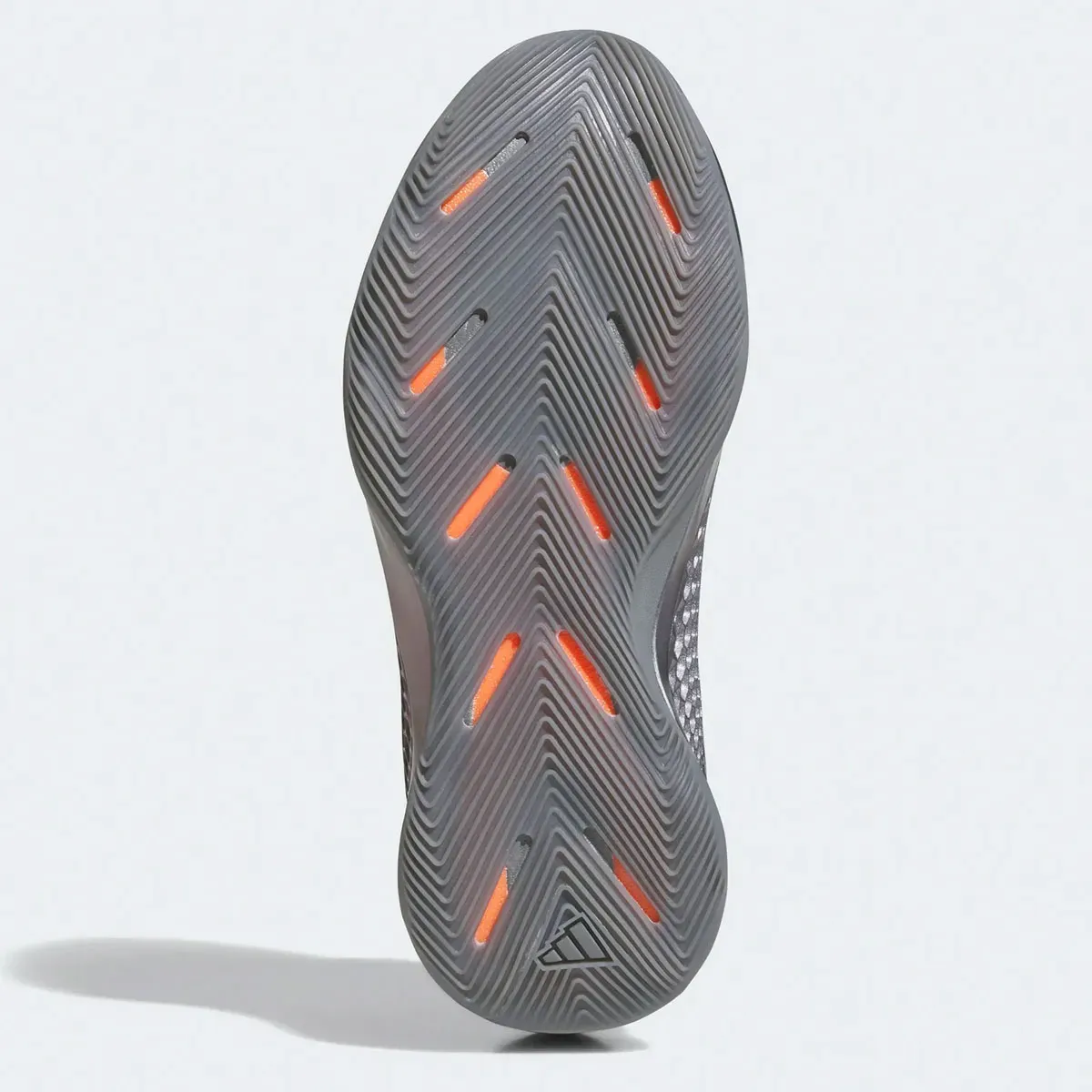 La A.E. 1 d'Anthony Edwards