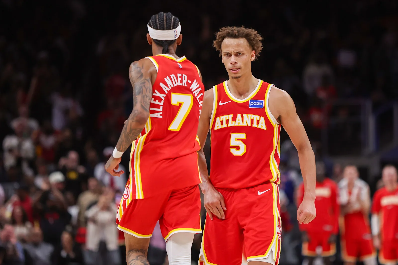 hawks