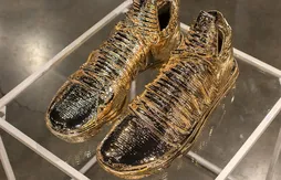 Nike : la KD X est tombée dans l’or !