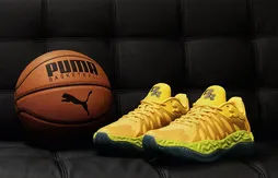 La Puma Hali 1 retrouve des couleurs