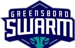 Les Hornets dévoilent leur petit frère, le Greensboro Swarm
