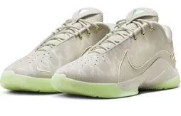 La LeBron 22 “Dunkman” puissance 10