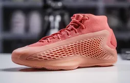 La AE 1 “Georgia Red Clay” dans la lumière