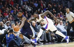 Les Grizzlies, les anti-Bisounours