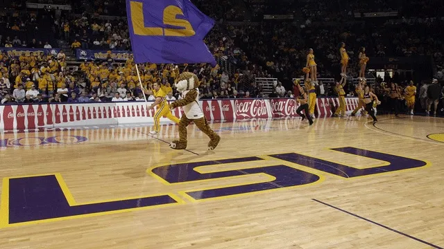 lsu
