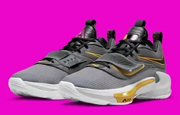 Une Zoom Freak 3 « Low Battery »