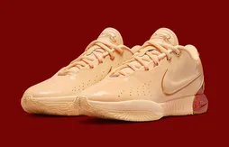 Un coloris ” Dragon Pearl” pour la LeBron 21