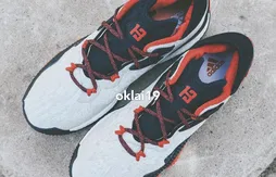 Adidas : la Crazylight Boost de James Harden pour les Jeux olympiques ?