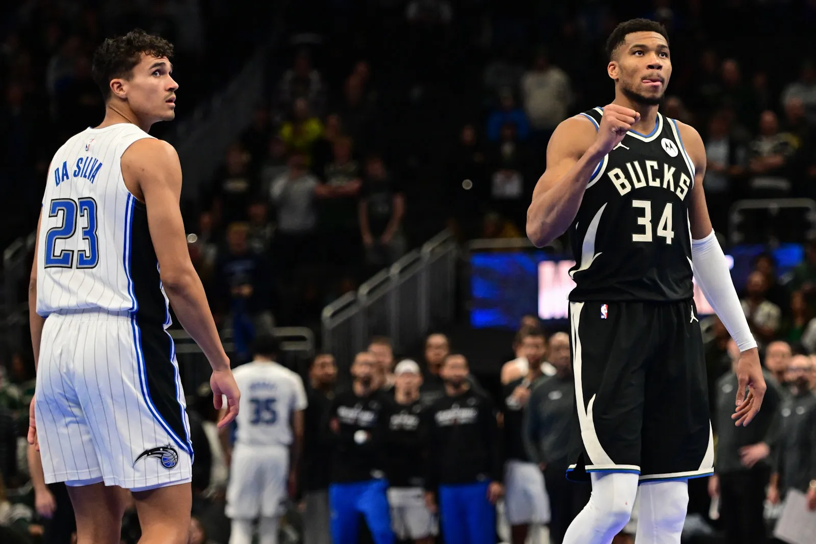 bucks 