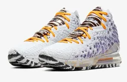 Nike x 2K20 : la LeBron 17 démarre ses playoffs