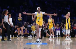 Un sex-toy encore balancé sur un terrain de WNBA