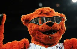 [reportage] Dans l’enfer des Bobcats, deuxième partie