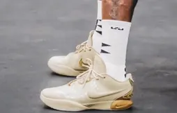 LeBron James dévoile la LeBron 21 !