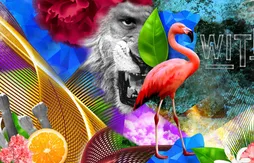 Nike fête les 25 000 points de LeBron James