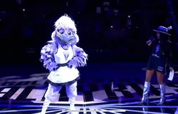 Voici Violet The Raven, la mascotte des Valkyries