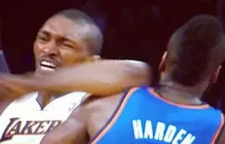 Metta World Peace suspendu 7 matches