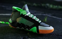 Quand la KAWHI II donne la chair de poule