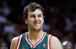 Et si Andrew Bogut revenait aux Bucks ?