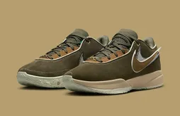 Une LeBron 20 en daim