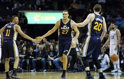 Bras levés, Rudy Gobert est à seulement neuf centimètres du cercle…