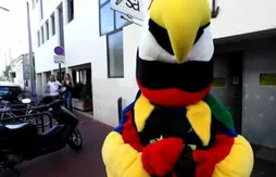 Le buzz du jour : Boris Diaw transformé en perroquet