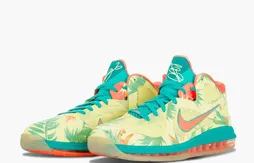 Une LeBron 9 Low version “LeBronold Palmer”